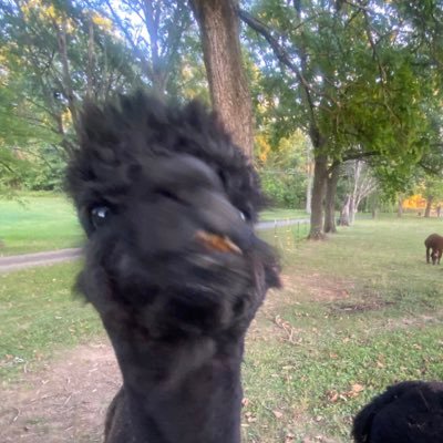 t_rex0222's profile picture. sup