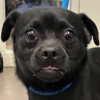 Iggy (@iggy30424) 's Twitter Profile Photo Iggy (@iggy30424) 's Twitter Profile Photo