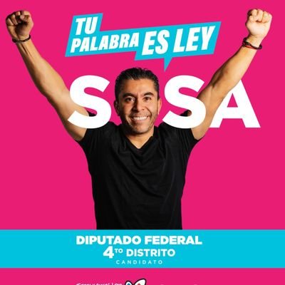 Candidato a Diputado Federal por el IV Distrito de Querétaro