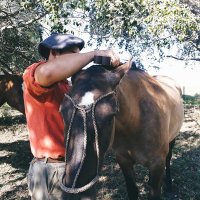 por_el_campoš (@porelcampo1) 's Twitter Profile
