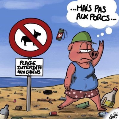 LilyRpn1's profile picture. 