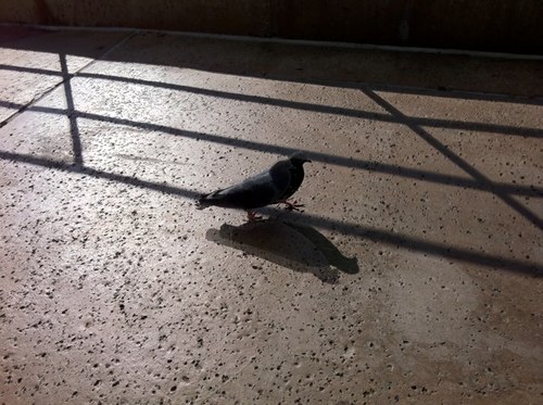 msmitusa's profile picture. 