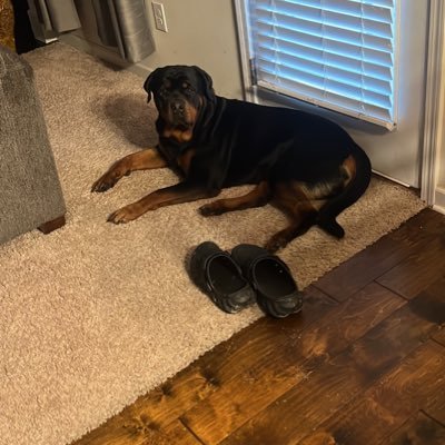 AromaOfEros's profile picture. 