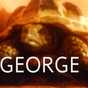 George Farrow - @tortoise_george - Twitter