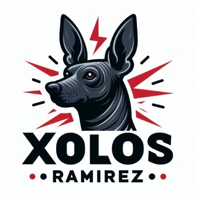 We are The Best Xoloitzcuintle dog Kennel located in México City. We are Xolos Ramirez ⚡