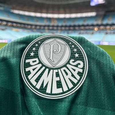 A vida me fez palmeirense e eu fiz do Palmeiras a minha vida.

Time do amor