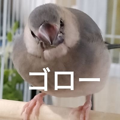 yoshibay Жさんのプロフィール画像