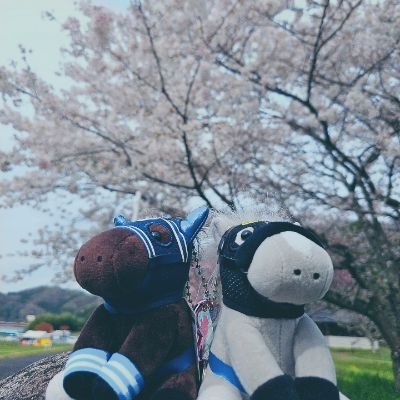 miko_ym1982's profile picture. 