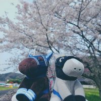 みこ (@miko_ym1982) 's Twitter Profile Photo みこ (@miko_ym1982) 's Twitter Profile Photo