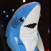 shork(@shork_coin) 's Twitter Profile Photo