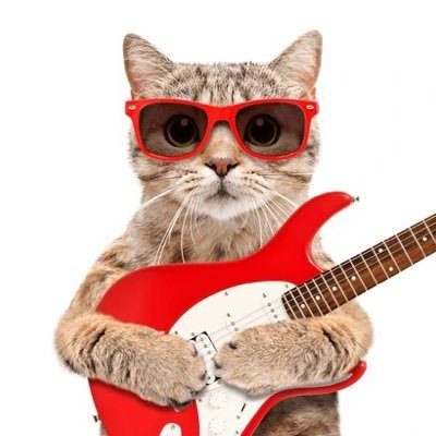 MOLO is just a Cat Wif Guitar  $MOLO CA: MoLoC3NFynexARUb7uJsmtsf7zm4NrSHeqWwzPrEQLu