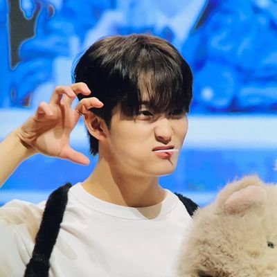 allsgud's profile picture. 🐯