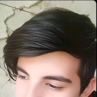 zahidiqbal355 Profile Picture