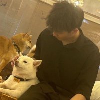 Coyliu (@pm__lighting) 's Twitter Profile