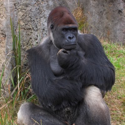 TKG55111183's profile picture. いいね👍ありがとうございます😊いいね👍いただいた方にはフォローさせていただきます^ - ^ キャンパーの方、フォローお願いします^ - ^ 兵庫県神戸市在住 一緒にキャンプ行ける方募集中🏕変な人ブロックします（笑）