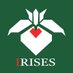 IRISES (@irises530) Twitter profile photo IRISES (@irises530) Twitter profile photo