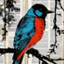 Bible Bird (@thebiblebird) Twitter profile photo Bible Bird (@thebiblebird) Twitter profile photo