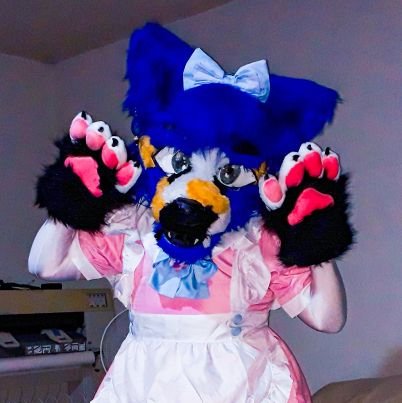 Fursuiter | Femboy | Blue wolf 🐺💙 | 34 lvl | He/Him ♂️ | Bisexual 💜 Single | Architect 🏡🏗 | Mexican 🇲🇽 | Paws/Socks lover 🐾🧦