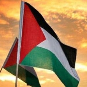 Noticias sobre el genocidio de Palestina desde fuentes locales del país