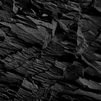 rlmtennis's profile picture. 