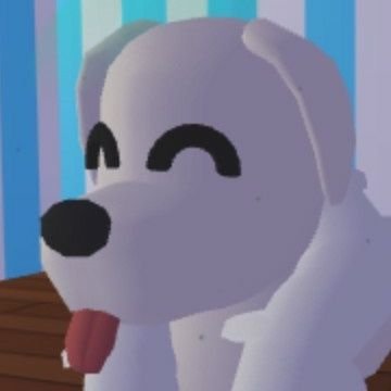 ヴさんのプロフィール画像