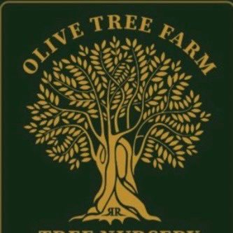 olivetreefarmCA's profile picture. We are a wholesale olive tree nursery in beautiful Sonoma California!