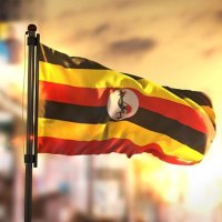 Ntunga Twesigyemukama (@ntungatm) 's Twitter Profile