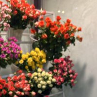 اميرة الشهري (@am82ir) 's Twitter Profile