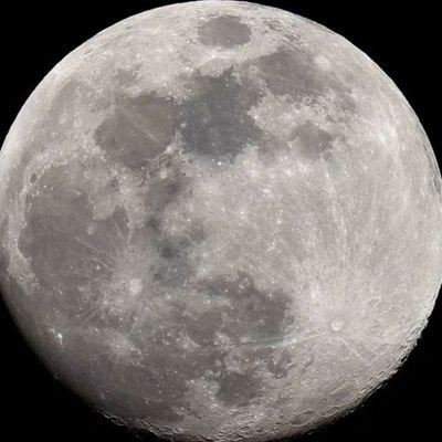 jux_jacy's profile picture. 