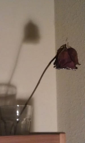 fran_jgr's profile picture. 