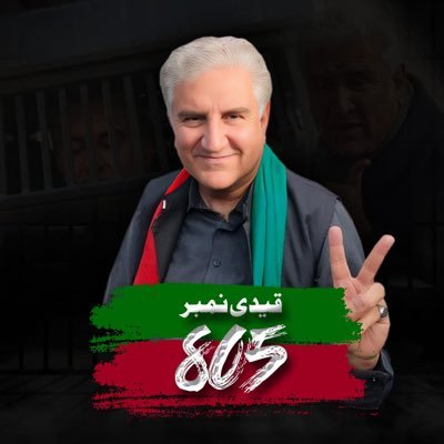 Vice Chairman Pakistan Tehreek-e-Insaf | Former Foreign Minister of Pakistan | #قیدی_نمبر_805