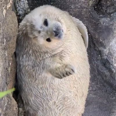 Ben__znanz's profile picture. 