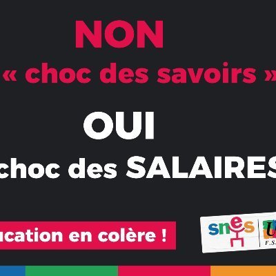 French teacher.Histoire-géoCollège REP72. Co-Secrétaire acad @SnesNantes.Père de https://t.co/pGS2Ng6f1Aïcard huguenot🏉🎿&Rando.GCU.Apiculteur amateur.Godin.AoEmpire✊