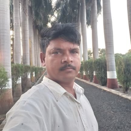 RathvaM55256's profile picture. 