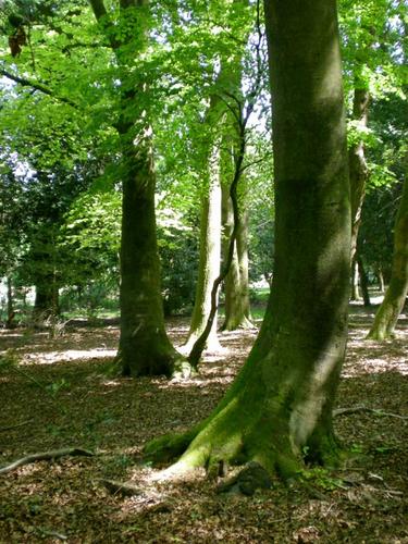 EmHaycock's profile picture. 