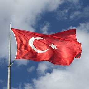 少ない小遣いをやりくりしては、トルコリラ円で年金づくりに勤しむ40代。現在スワップ172円／日