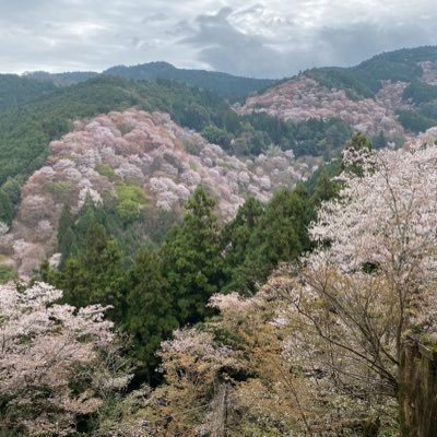 武藤十夢ちゃん激推し ／DMMヘビーユーザー／視聴公演5000本／［いいね］はメモ、必ずしも賛同している訳ではありません。