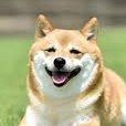 荼毘犬さんのプロフィール画像