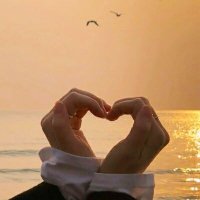 Diya (@paulene33502617) 's Twitter Profile