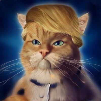 TrumpCat_2024 Profile Picture