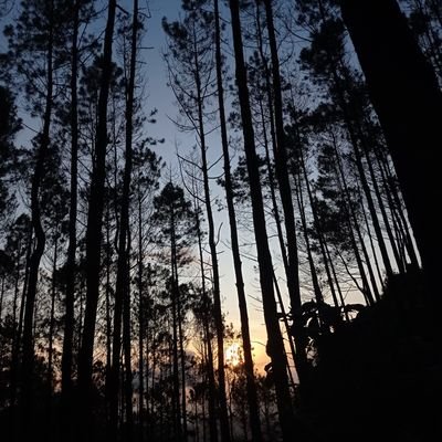 cecep_4's profile picture. 