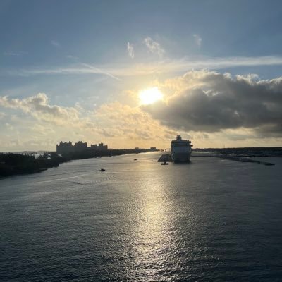 susan888888s's profile picture. 