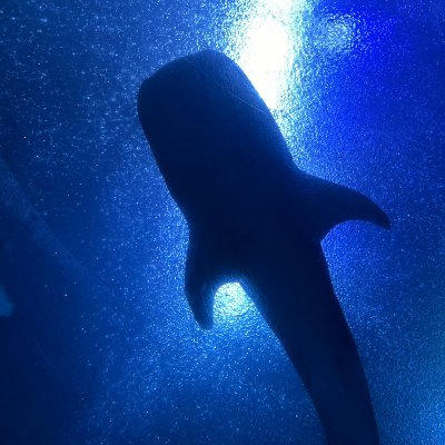 eric_foon's profile picture. 