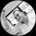 Karim Peeters (@karimpeeters) Twitter profile photo Karim Peeters (@karimpeeters) Twitter profile photo