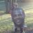 Braeh11's profile image