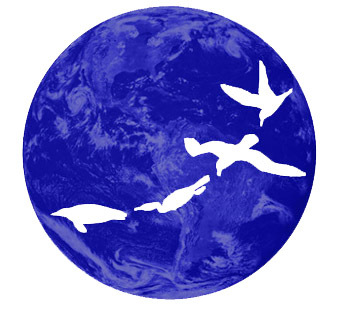 World Seabird Union