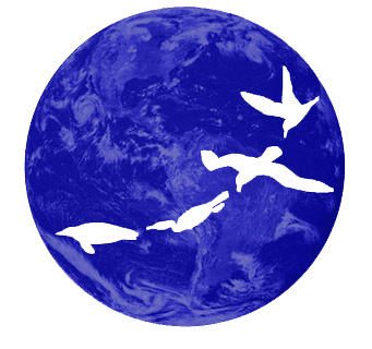 Seabirders Profile Picture