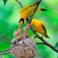 ‏ۛ ּا̍ڵــطــﯧْۧــۄڕ🇶🇦 (@meem321) Twitter profile photo