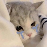 なちゃ (@mii1l_n) 's Twitter Profile Photo