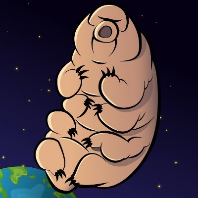 alevil_sec's profile picture. Security researcher